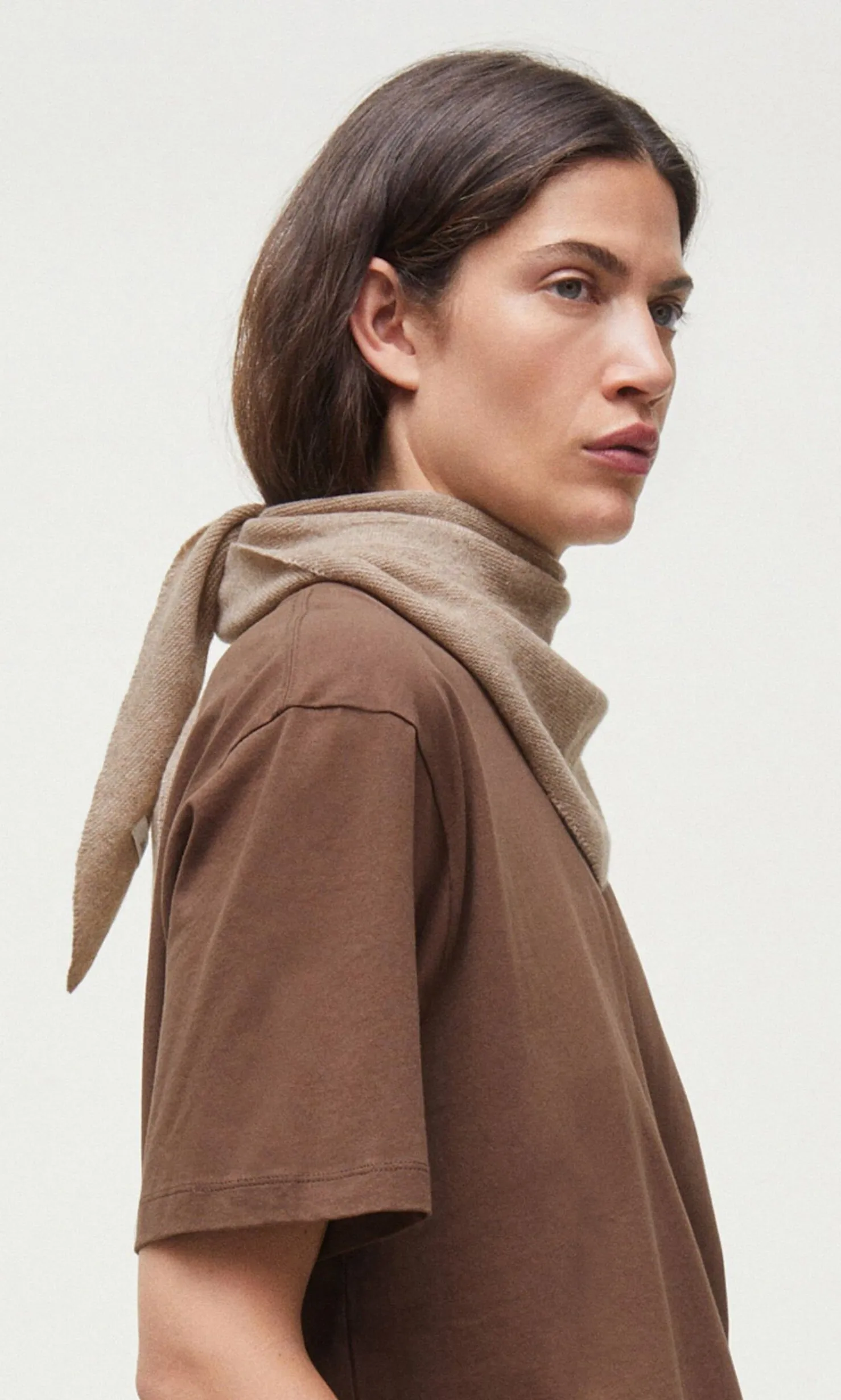 Brown Necktie