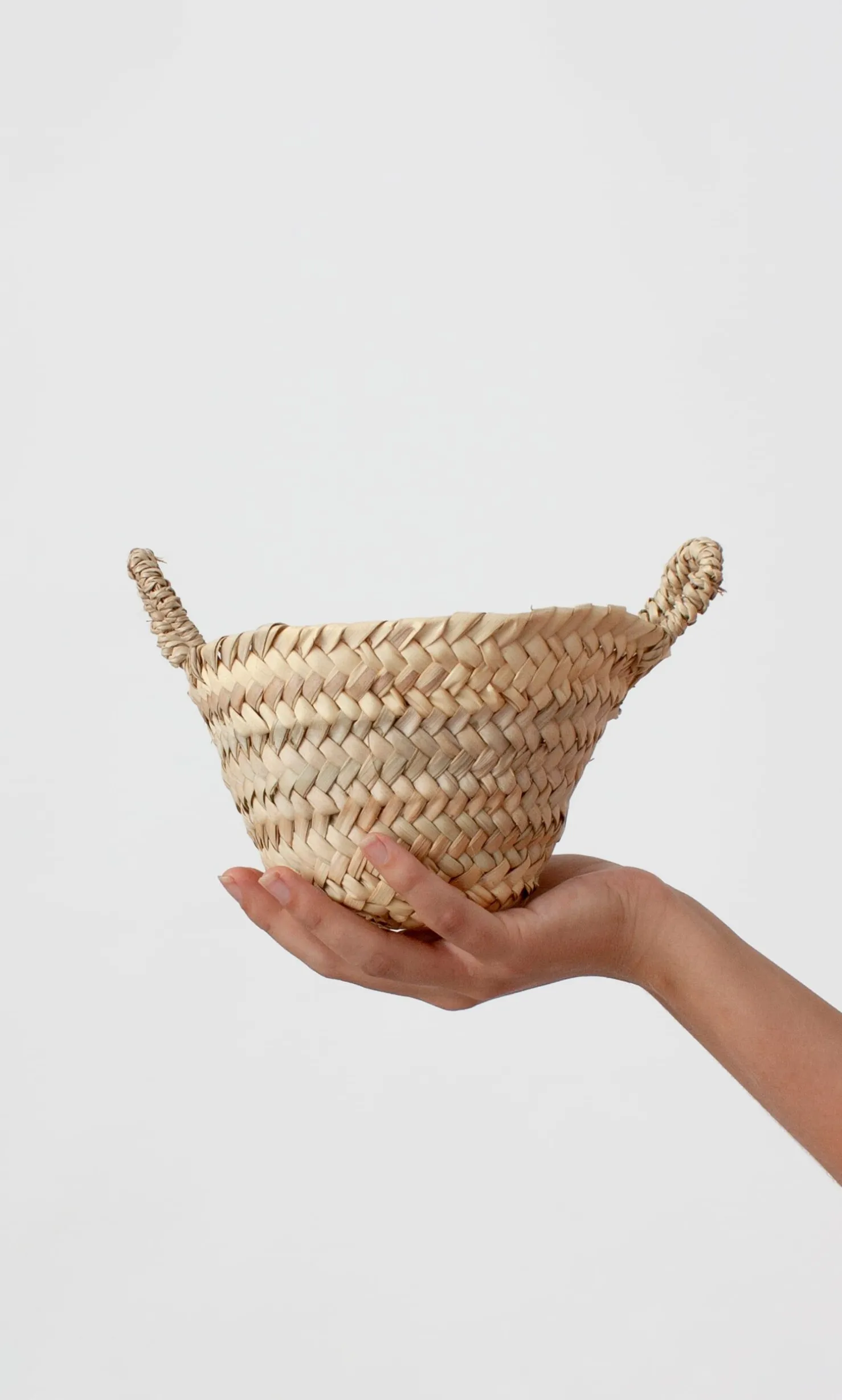 Egg Basket