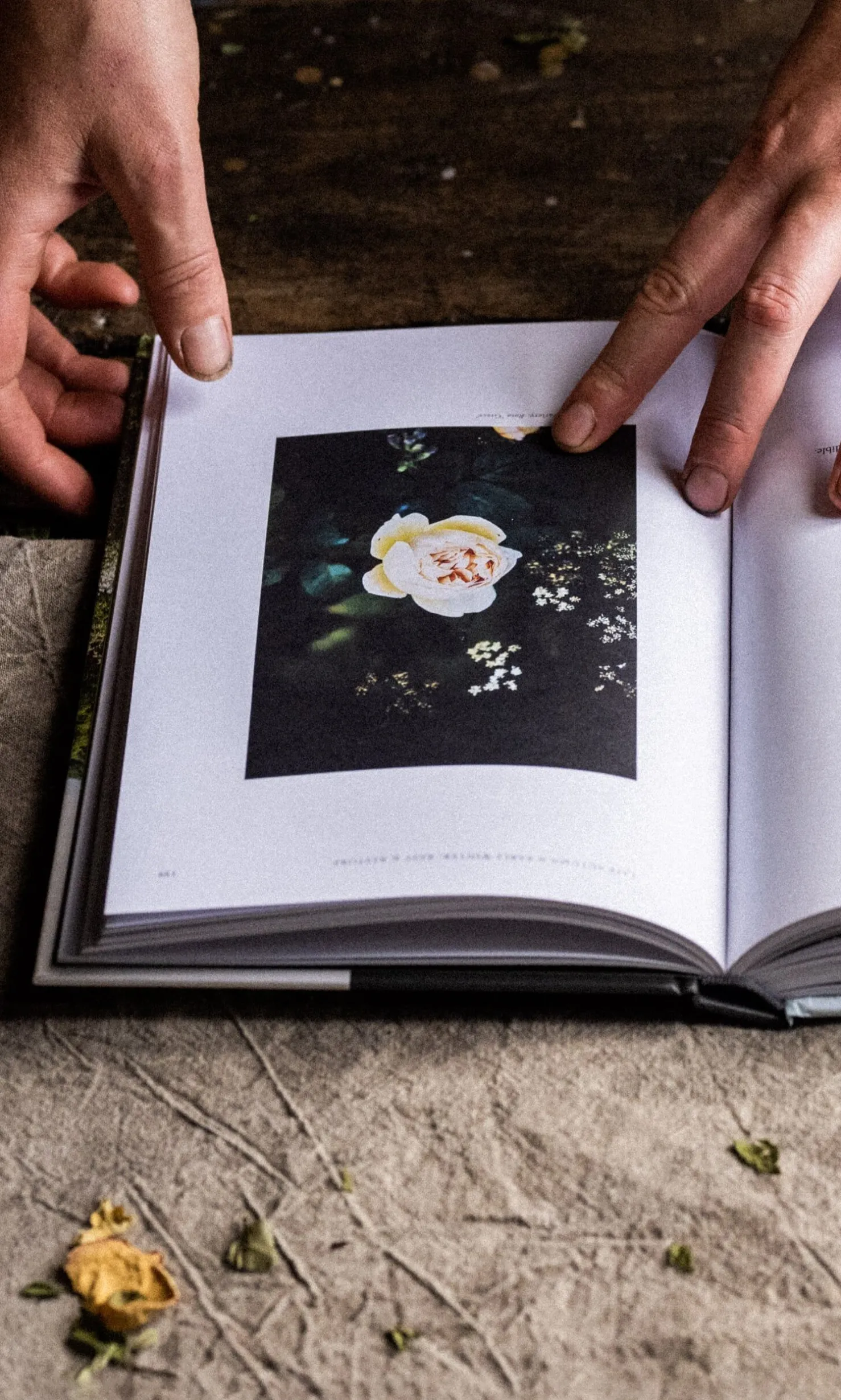 Grow & Gather By Grace Alexander
