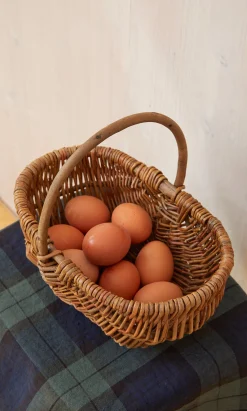 Mushroom Basket