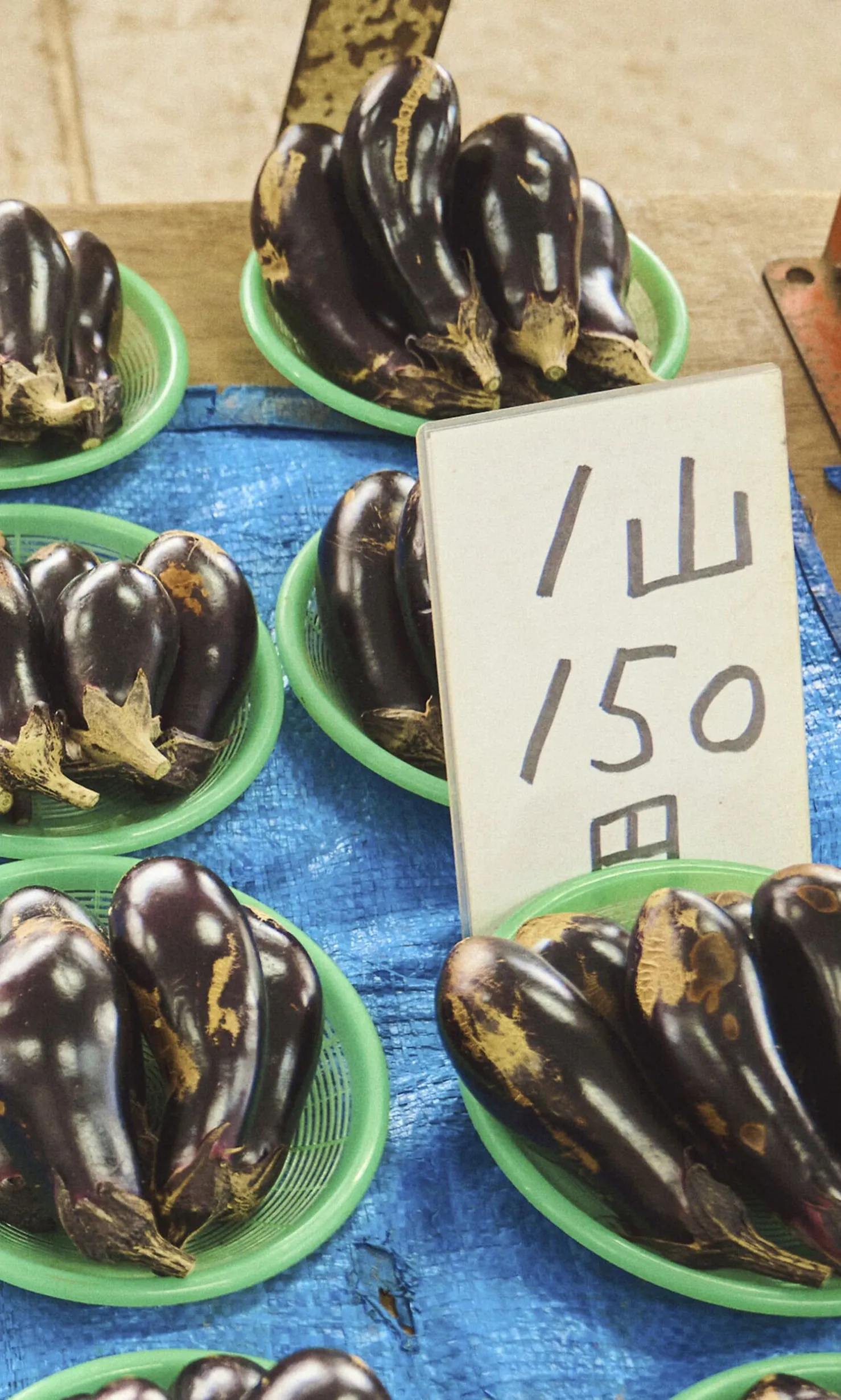 Nasu Aubergine Seeds