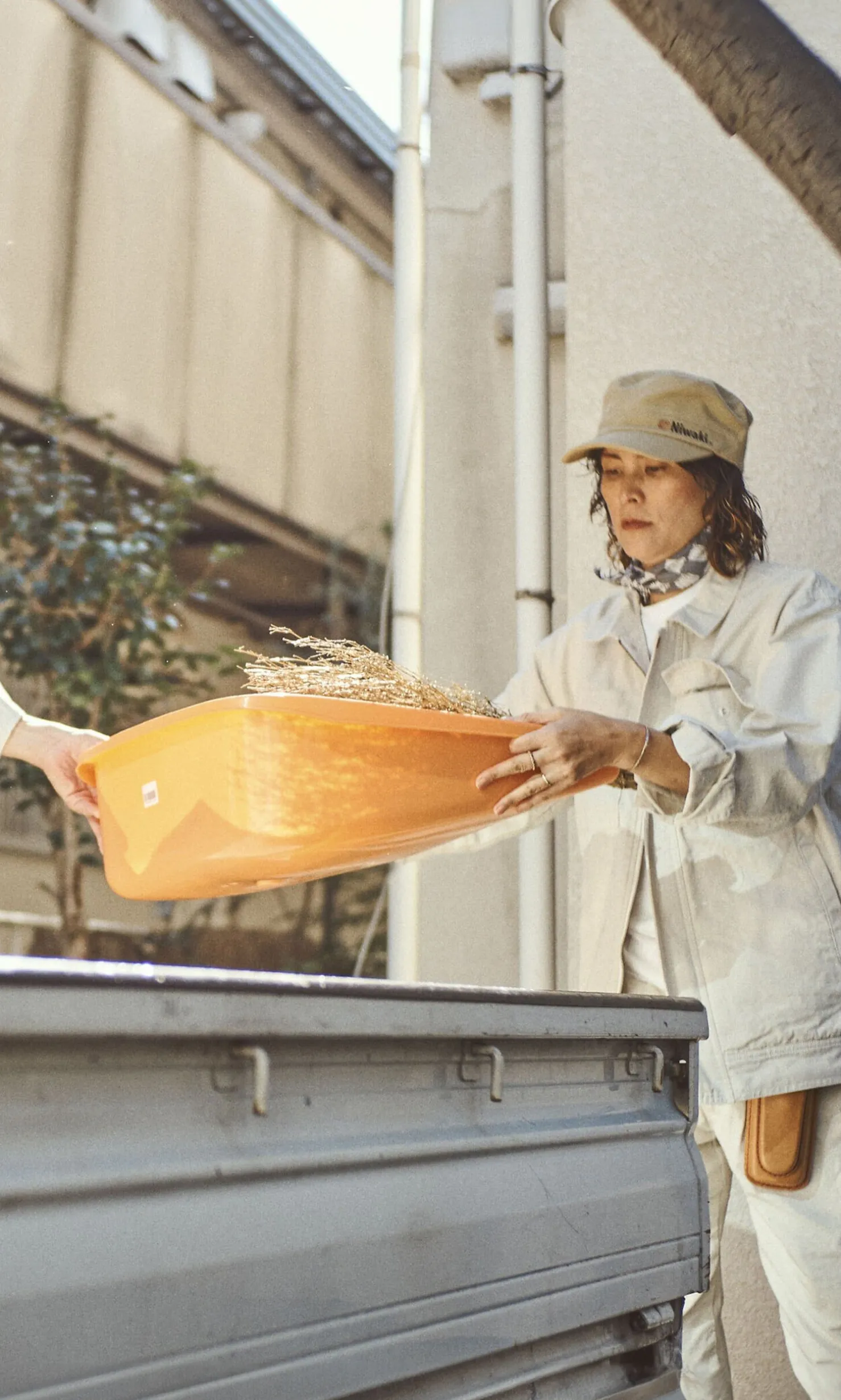 Orange Enormous Leaf Pan