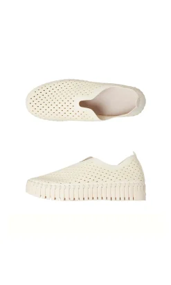 Polly Shoes