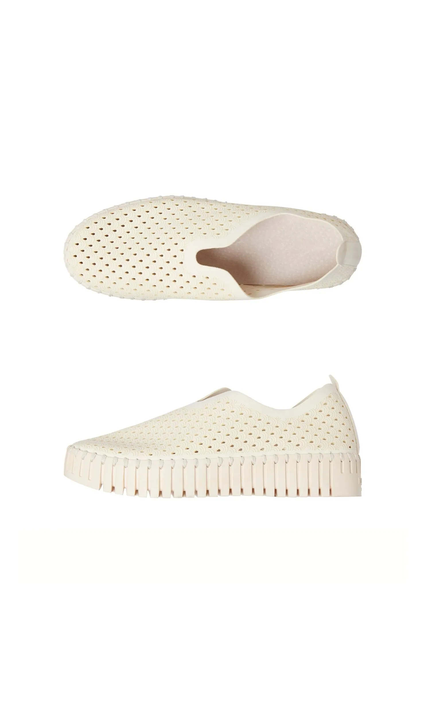 Polly Shoes